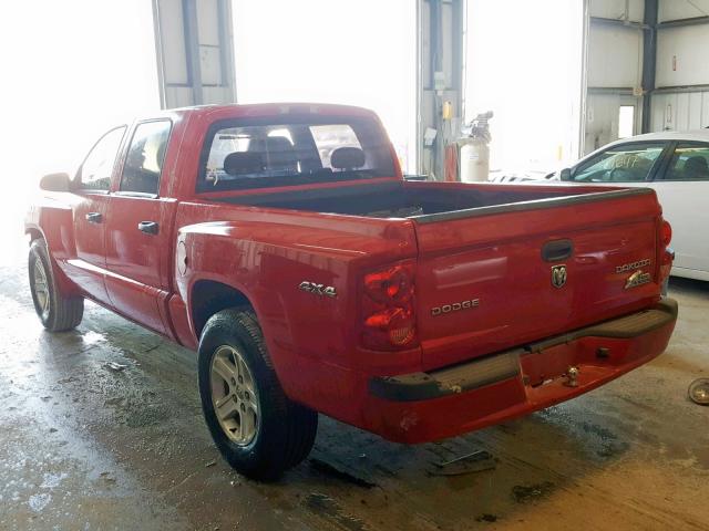 1D7RE3GK3BS619531 - 2011 DODGE DAKOTA SLT RED photo 3