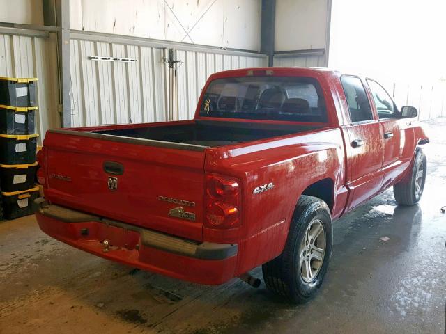 1D7RE3GK3BS619531 - 2011 DODGE DAKOTA SLT RED photo 4