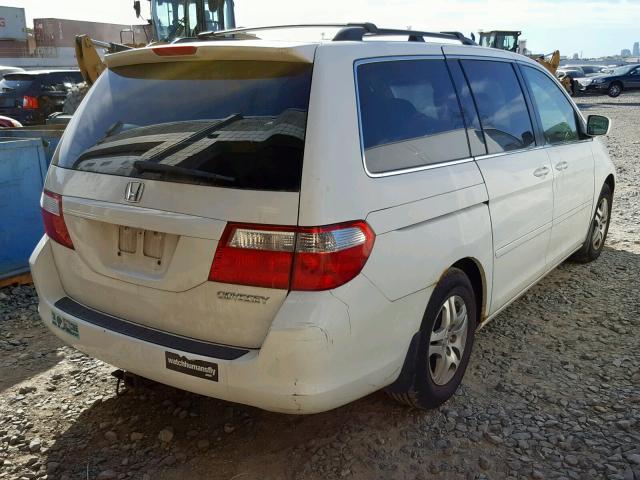 5FNRL38605B419032 - 2005 HONDA ODYSSEY EX WHITE photo 4