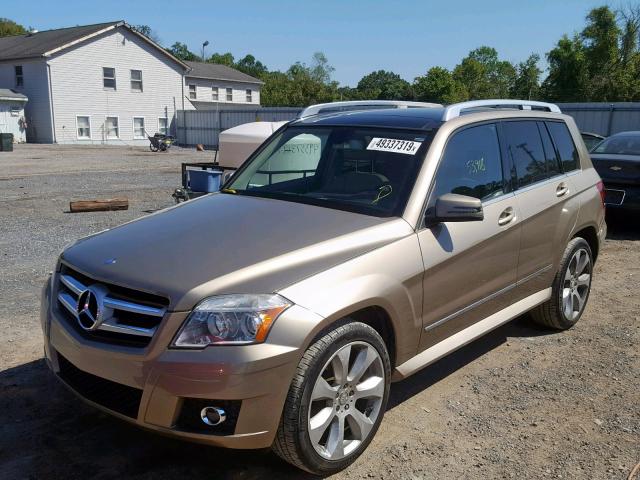 WDCGG8HBXAF495444 - 2010 MERCEDES-BENZ GLK 350 4M GOLD photo 2