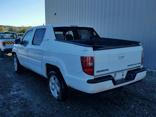 5FPYK1F52BB004424 - 2011 HONDA RIDGELINE WHITE photo 3