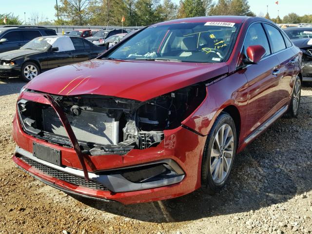 5NPE34AF0FH235503 - 2015 HYUNDAI SONATA SPO RED photo 2