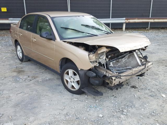 1G1ZT52815F202003 - 2005 CHEVROLET MALIBU LS BROWN photo 1