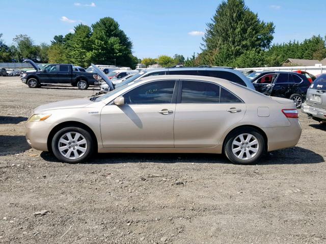 4T1BB46KX9U086454 - 2009 TOYOTA CAMRY HYBR GOLD photo 9