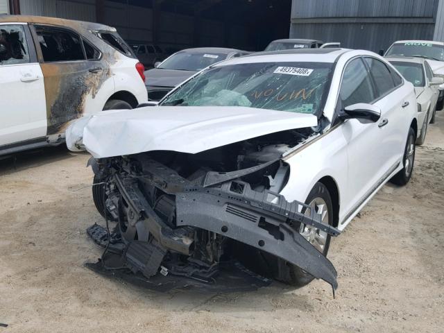 5NPE34AF7JH694259 - 2018 HYUNDAI SONATA SPO WHITE photo 2