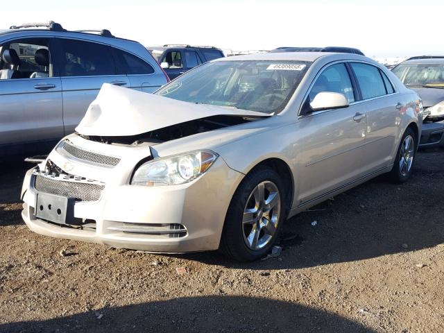 1G1ZH57B89F237617 - 2009 CHEVROLET MALIBU 1LT GOLD photo 2