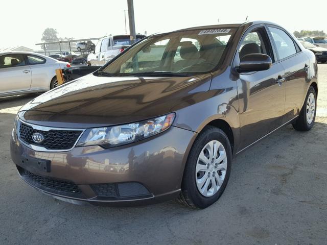 KNAFU4A2XD5735452 - 2013 KIA FORTE EX BROWN photo 2