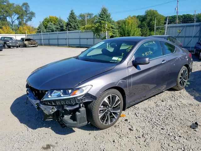 1HGCT2B80HA006486 - 2017 HONDA ACCORD EXL GRAY photo 2