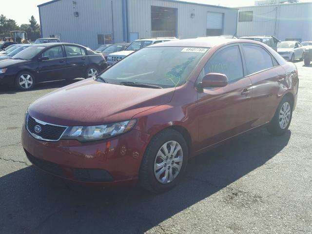 KNAFU4A24B5426279 - 2011 KIA FORTE EX RED photo 2