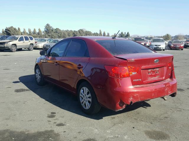 KNAFU4A24B5426279 - 2011 KIA FORTE EX RED photo 3