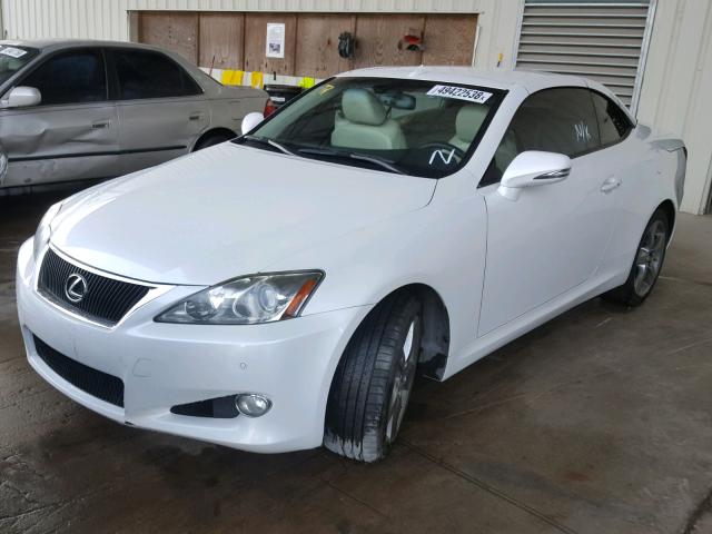 JTHFF2C28A2513339 - 2010 LEXUS IS 250 WHITE photo 2