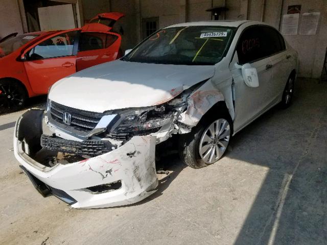 1HGCR3F83EA037130 - 2014 HONDA ACCORD EXL WHITE photo 2