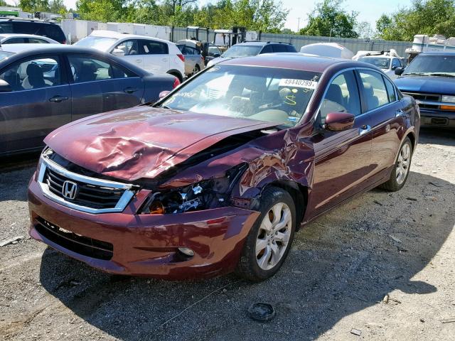 1HGCP36848A084211 - 2008 HONDA ACCORD EXL MAROON photo 2