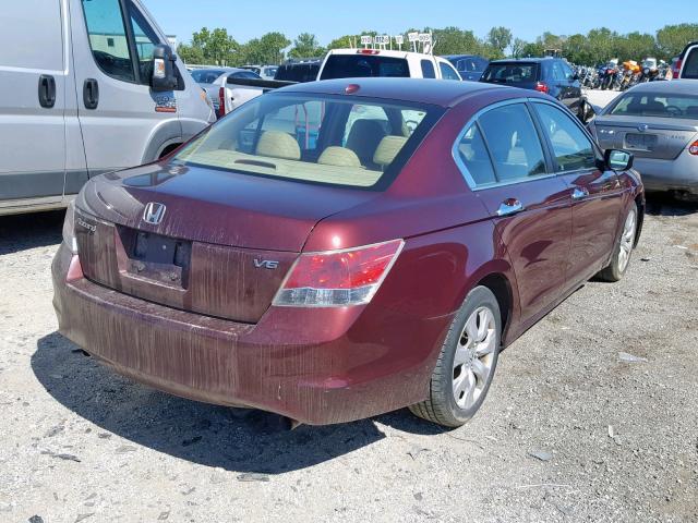 1HGCP36848A084211 - 2008 HONDA ACCORD EXL MAROON photo 4