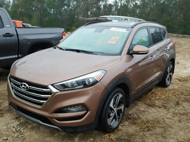 KM8J33A23GU082432 - 2016 HYUNDAI TUCSON LIM GOLD photo 2