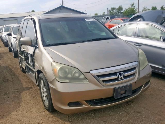 5FNRL38725B121929 - 2005 HONDA ODYSSEY EX TAN photo 1