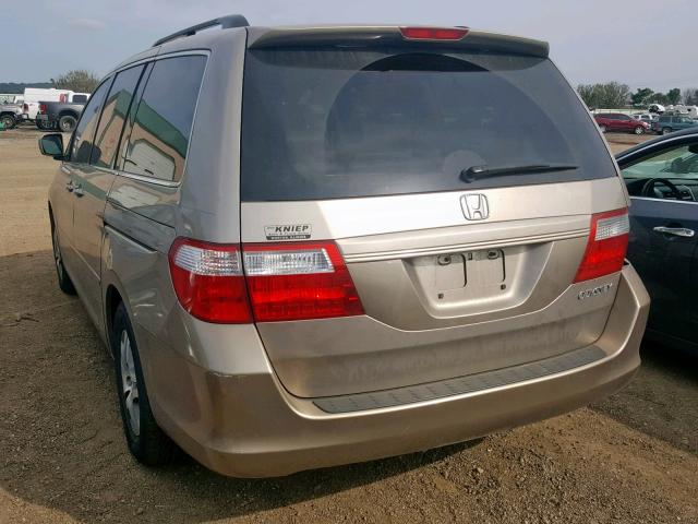 5FNRL38725B121929 - 2005 HONDA ODYSSEY EX TAN photo 3