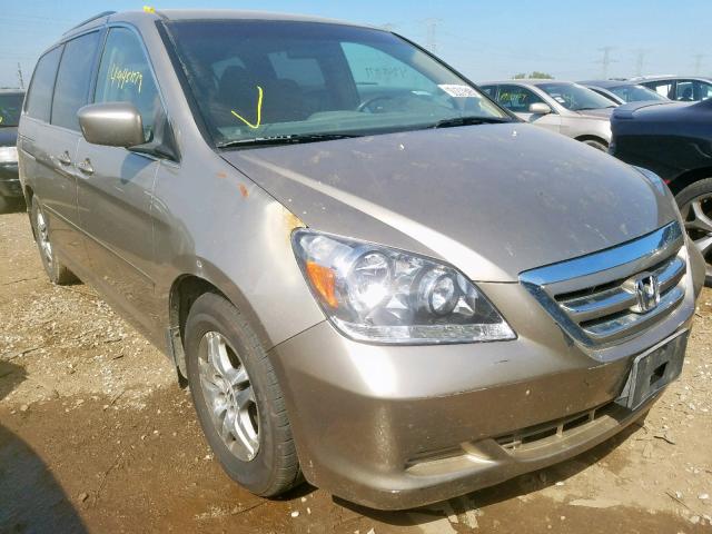 5FNRL38475B400878 - 2005 HONDA ODYSSEY EX GOLD photo 1