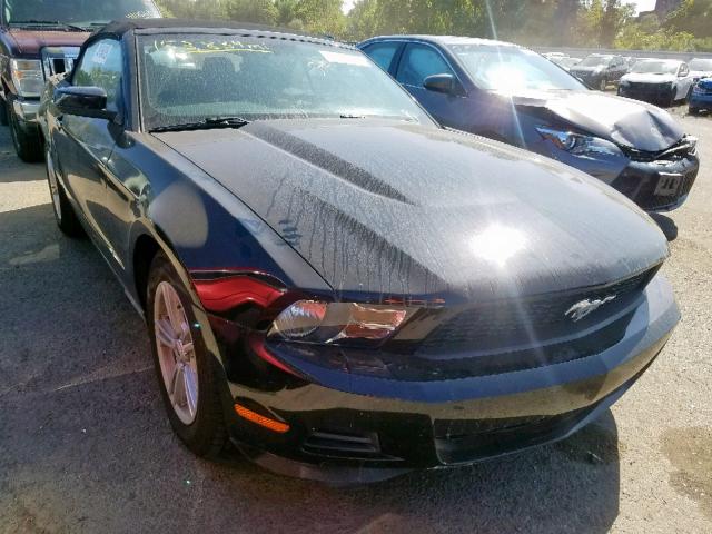 1ZVBP8EM6C5224537 - 2012 FORD MUSTANG BLACK photo 1