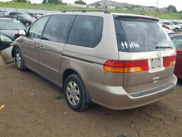 5FNRL189X3B007230 - 2003 HONDA ODYSSEY EX GOLD photo 3