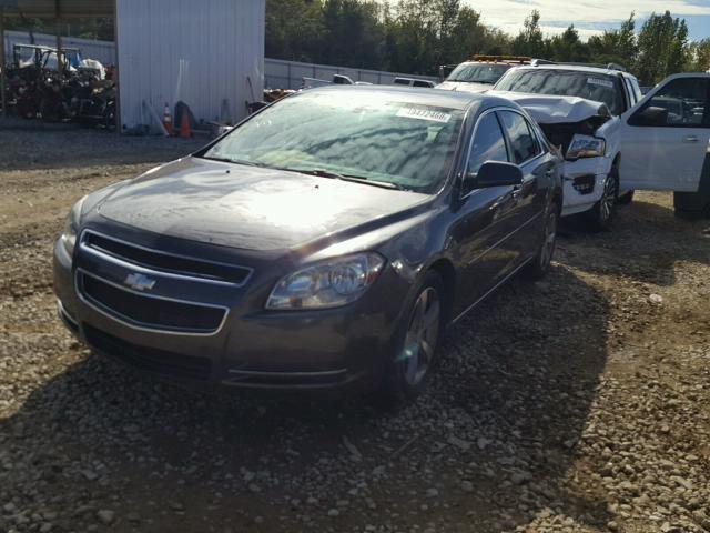 1G1ZC5E12BF335587 - 2011 CHEVROLET MALIBU 1LT GRAY photo 2