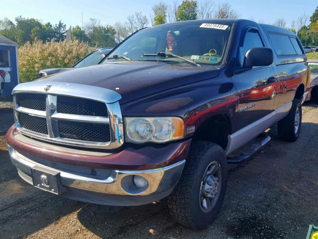 3D7KU26D94G117022 - 2004 DODGE RAM 2500 S Tünd qırmızı foto 2