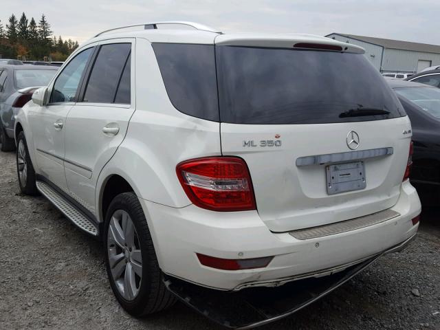 4JGBB86E19A487183 - 2009 MERCEDES-BENZ ML 350 WHITE photo 3