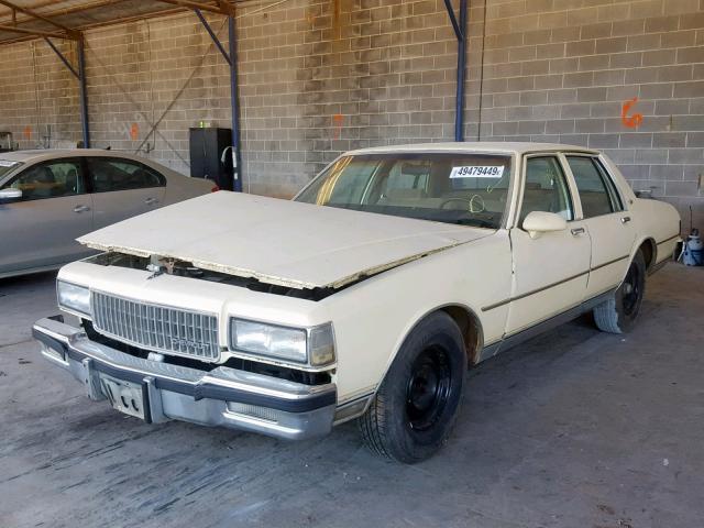 1G1BN51HXHX116846 - 1987 CHEVROLET CAPRICE CL CREAM photo 2