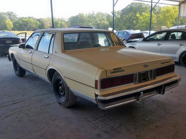 1G1BN51HXHX116846 - 1987 CHEVROLET CAPRICE CL CREAM photo 3