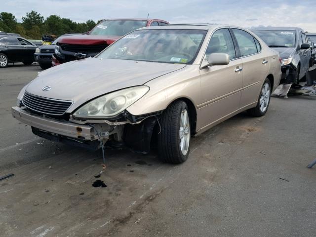 JTHBA30G755094519 - 2005 LEXUS ES 330 GOLD photo 2