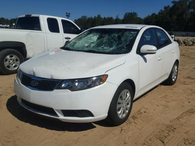 KNAFU4A20D5718322 - 2013 KIA FORTE EX WHITE photo 2