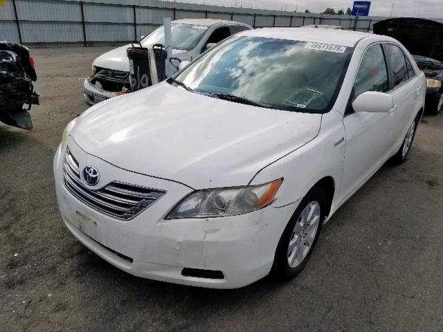 JTNBB46K683048319 - 2008 TOYOTA CAMRY HYBR WHITE photo 2