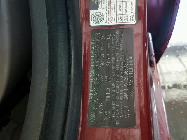 KNAFE222395660875 - 2009 KIA SPECTRA EX RED photo 10