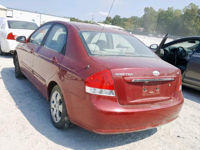 KNAFE121375429263 - 2007 KIA SPECTRA EX MAROON photo 3