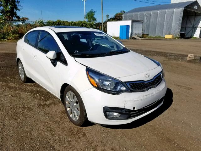 KNADN4A36D6099510 - 2013 KIA RIO EX WHITE photo 1