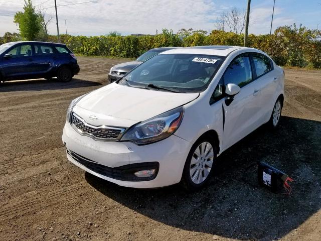 KNADN4A36D6099510 - 2013 KIA RIO EX WHITE photo 2