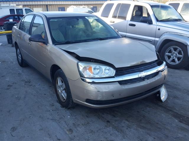 1G1ZT54815F200233 - 2005 CHEVROLET MALIBU LS 金色 照片 1