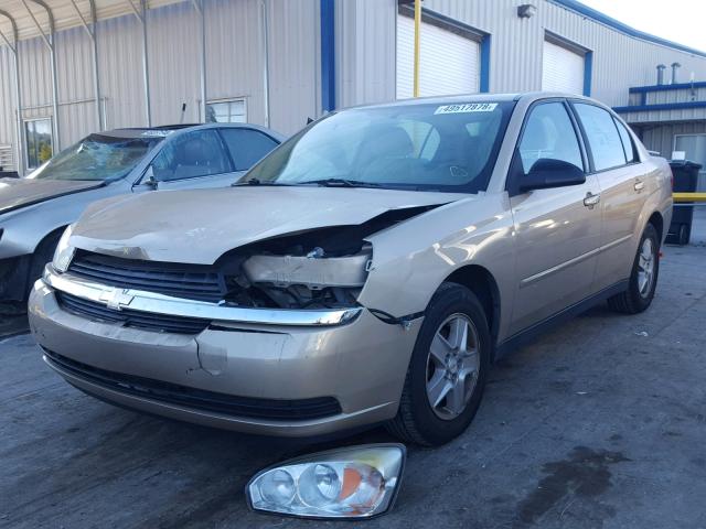 1G1ZT54815F200233 - 2005 CHEVROLET MALIBU LS 金色 照片 2