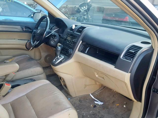 5J6RE38709L005703 - 2009 HONDA CR-V EXL TAN photo 5