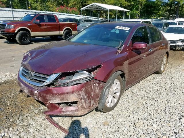 1HGCR2F8XEA038091 - 2014 HONDA ACCORD EXL RED photo 2