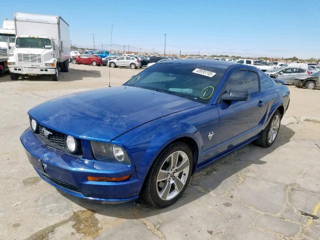 1ZVHT82HX95106450 - 2009 FORD MUSTANG GT BLUE photo 2