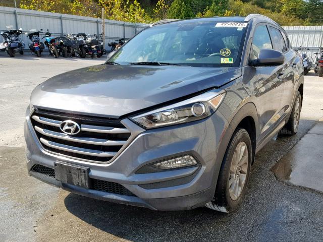 KM8J33A44GU188132 - 2016 HYUNDAI TUCSON LIM GRAY photo 2