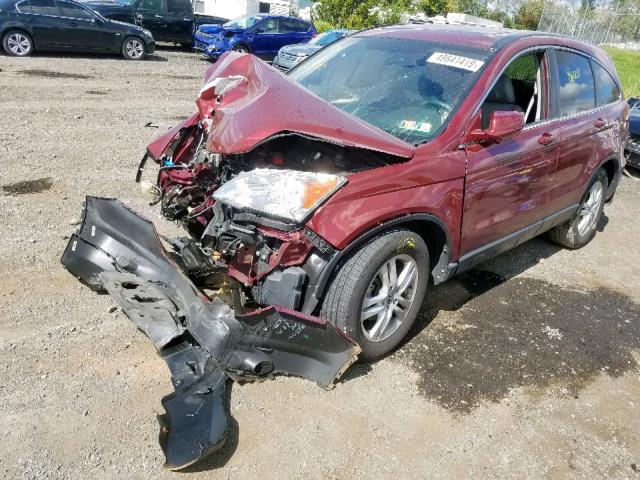 5J6RE4H79AL102084 - 2010 HONDA CR-V EXL RED photo 2