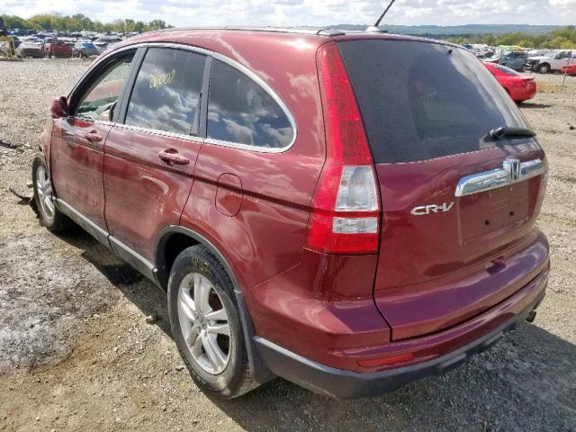 5J6RE4H79AL102084 - 2010 HONDA CR-V EXL RED photo 3