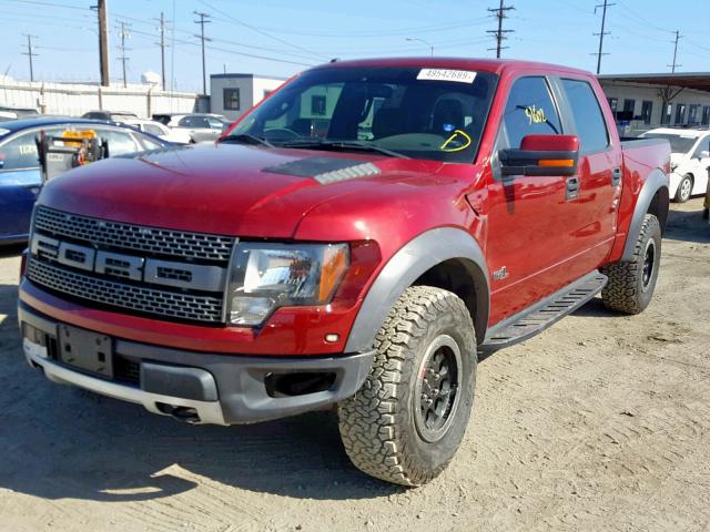 1FTFW1R69EFB10104 - 2014 FORD F150 SVT R BURGUNDY photo 2