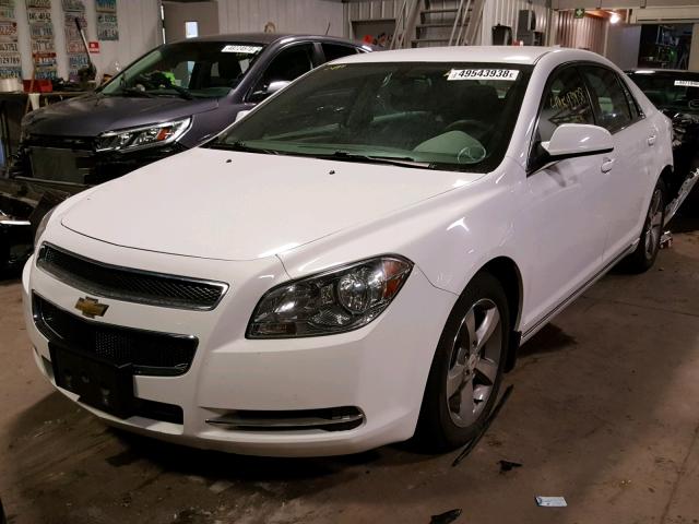 1G1ZC5E15BF334370 - 2011 CHEVROLET MALIBU 1LT თეთრი ფოტო 2