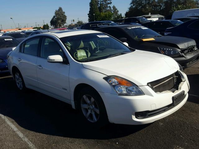 1N4CL21E98C239816 - 2008 NISSAN ALTIMA HYB WHITE photo 1