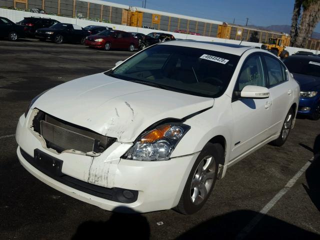 1N4CL21E98C239816 - 2008 NISSAN ALTIMA HYB WHITE photo 2