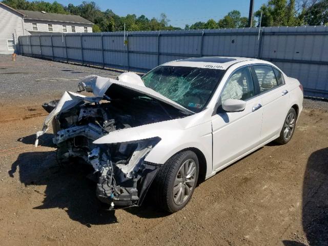 1HGCP3F82CA028342 - 2012 HONDA ACCORD EXL WHITE photo 2