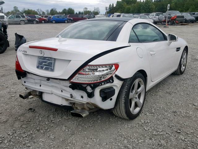 WDDPK4HA2EF079386 - 2014 MERCEDES-BENZ SLK 250 WHITE photo 4